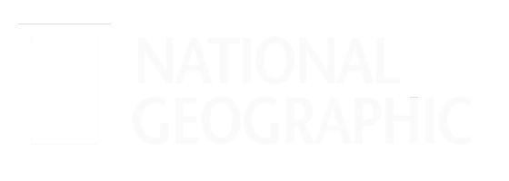 6-e1732570696356